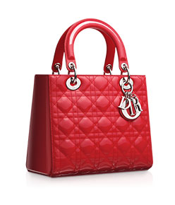 Ladies Purse